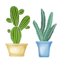 Cacti set, succulents, home flowers, houseplants in flowerpots