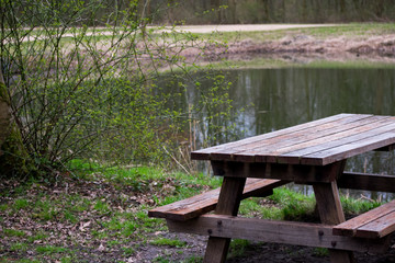 Picnic Table Bench in the Forest Nature Grass Trees Water