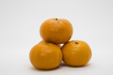 Group Orange