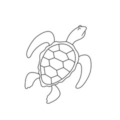 simple drawing of a turtle with a haughty expression