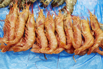 Shrimps at market 