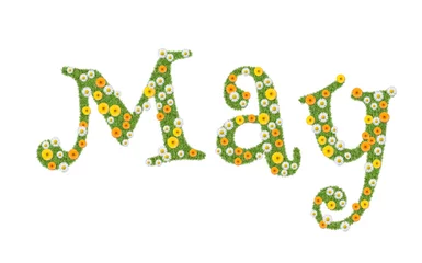 May, month name written in flowers, marigolds and daisies. Text, word. © Mushy