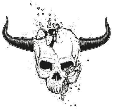 Broken Skull Illustration