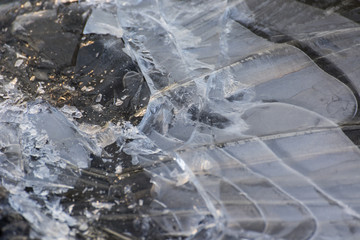 Ice crust on the surface of the pool.