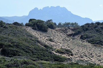 Cyprus wild nature