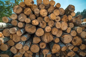 Möbelaufkleber Pile of tree trunks © Hairem