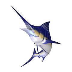 3D Rendering Marlin Fish on White