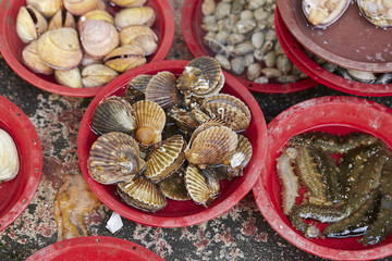 Shellfishes at market 