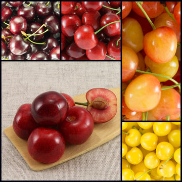 Collage from different varieties of sweet cherry  - square