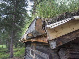 Corner of an old wooden house with an earthen roof in the forest. Norway