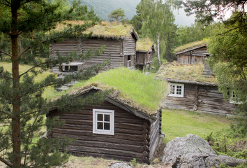 Fototapeta premium Unusual wooden houses with an earthen roof in the forest. Norway.