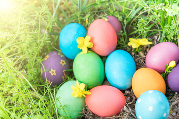 Fototapeta na wymiar Easter sunday, happy easter, colorful easter eggs hunt holiday decorations easter concept backgrounds with copy space