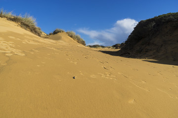 Felsküste am Atlantik im Parque Natural do Sudoeste Alentejano e Costa Vicentina, Algarve, Portugal, Europa