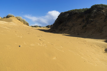 Felsküste am Atlantik im Parque Natural do Sudoeste Alentejano e Costa Vicentina, Algarve, Portugal, Europa