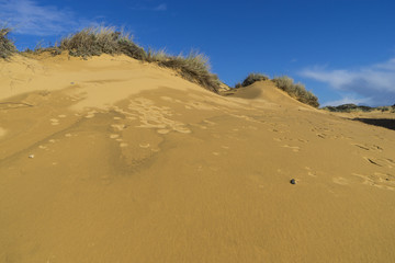 Felsküste am Atlantik im Parque Natural do Sudoeste Alentejano e Costa Vicentina, Algarve, Portugal, Europa