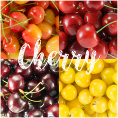 Collage from different varieties of sweet cherry  - square