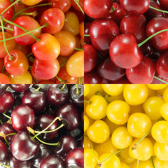 Collage from different varieties of sweet cherry - square