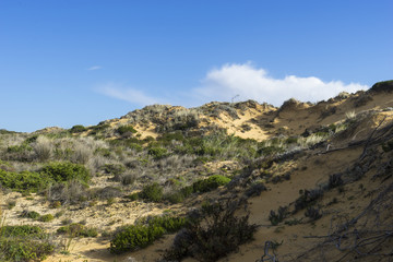 Felsküste am Atlantik im Parque Natural do Sudoeste Alentejano e Costa Vicentina, Algarve, Portugal, Europa