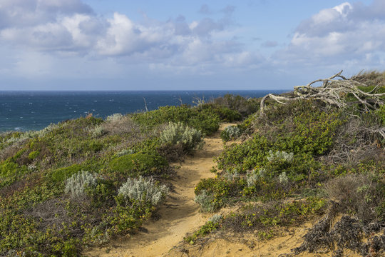 Felsk&uuml;ste am Atlantik im Parque Natural do Sudoeste Alentejano e Costa Vicentina, Algarve, Portugal, Europa