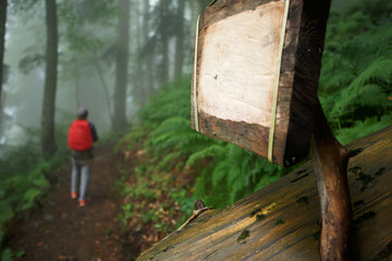 Photo of empty wooden sign and human