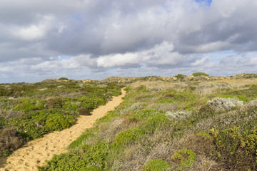 Fototapeta na wymiar Felsküste am Atlantik im Parque Natural do Sudoeste Alentejano e Costa Vicentina, Algarve, Portugal, Europa