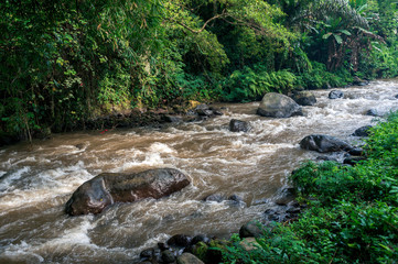 Naklejka na ściany i meble River in the forest on Bali