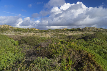 Felsküste am Atlantik im Parque Natural do Sudoeste Alentejano e Costa Vicentina, Algarve, Portugal, Europa