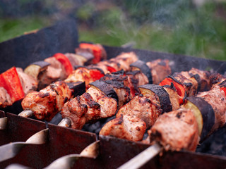 Grilled meat and chicken roasting on skewers with flame and smoke, bbq outdoors at summer picnic, camping concept. Charcoal grill cooking close up