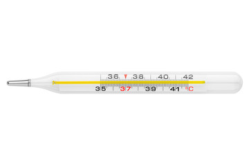 mercury thermometer, isolated on white background, clipping path, full depth of field