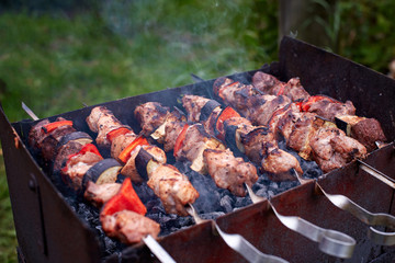 Grilled meat on skewers of vegetables, meat on the grill, outside