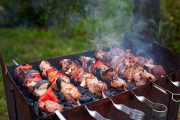 Meat roasting on skewers, summer picnic concept. Meat on skewers cooked on grill. Charcoal grill cooking