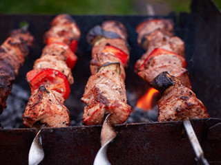 Meat on skewers cooked on grill closeup. Delicious flavored pork barbecue, threaded on skewers, charcoal grill cooking