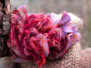 Kamelienblüte auf Sackleinen, Nahansicht