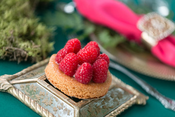 Raspberry dessert. table setting. Wedding decor in the magic forest for a loving couple. Pink and green colors.
