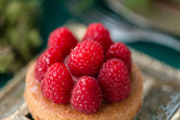 Raspberry dessert. table setting. Wedding decor in the magic forest for a loving couple. Pink and green colors.
