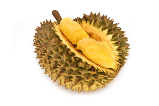 93 BEST Stinkfrucht IMAGES, STOCK PHOTOS u0026 VECTORS  Adobe Stock
