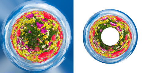 cd, sky, tulips, cover, disk, dvd