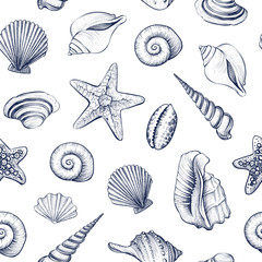Seashells vector seamless pattern.