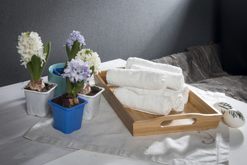 Fototapeta na wymiar the Tray with hand towels, hyacinths in pots in the bathroom of the spa salon