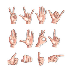 set of hands showing different gestures. vector illustration