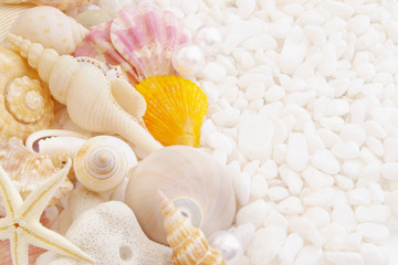 Fototapeta na wymiar Seashells and pearls on white stones close up