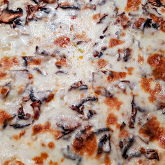 The texture of a delicious Italian pizza with cheese and spices
