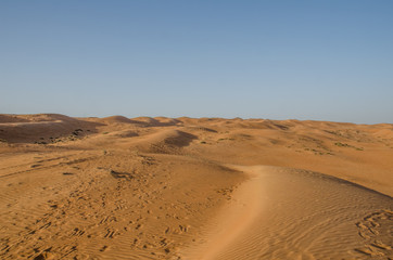Fototapeta na wymiar Sand dunes with wind pattern in Wahiba sands desert. Tracks of camels