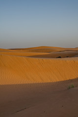 Fototapeta na wymiar Sand dunes with wind pattern in Wahiba sands desert in evening light