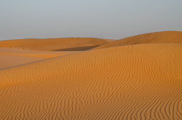 Fototapeta na wymiar Sand dunes with wind pattern in Wahiba sands desert in evening light