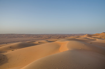 Obraz na płótnie Canvas Sand dunes with wind pattern in Wahiba sands desert in evening light
