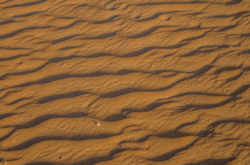 Sand dunes with wind pattern in Wahiba sands desert in evening light