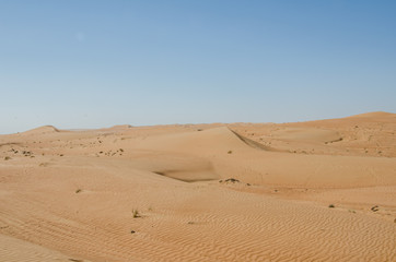 Fototapeta na wymiar Sand dunes with wind pattern in Wahiba sands desert