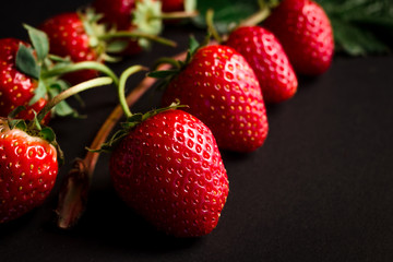 Fresh red strawberries on a black background