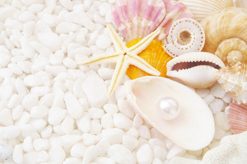 Pearl, starfish and seashells on white stones 